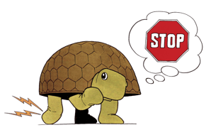 Turtle2d-stop