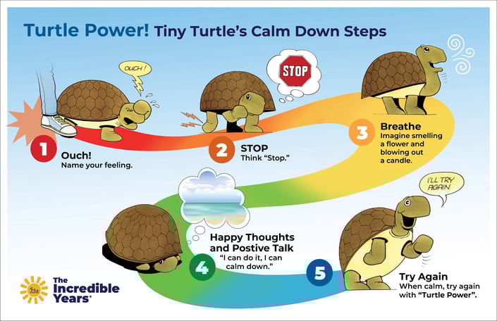 TurtleStepsPoster